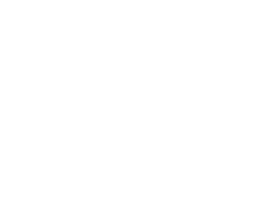 DS